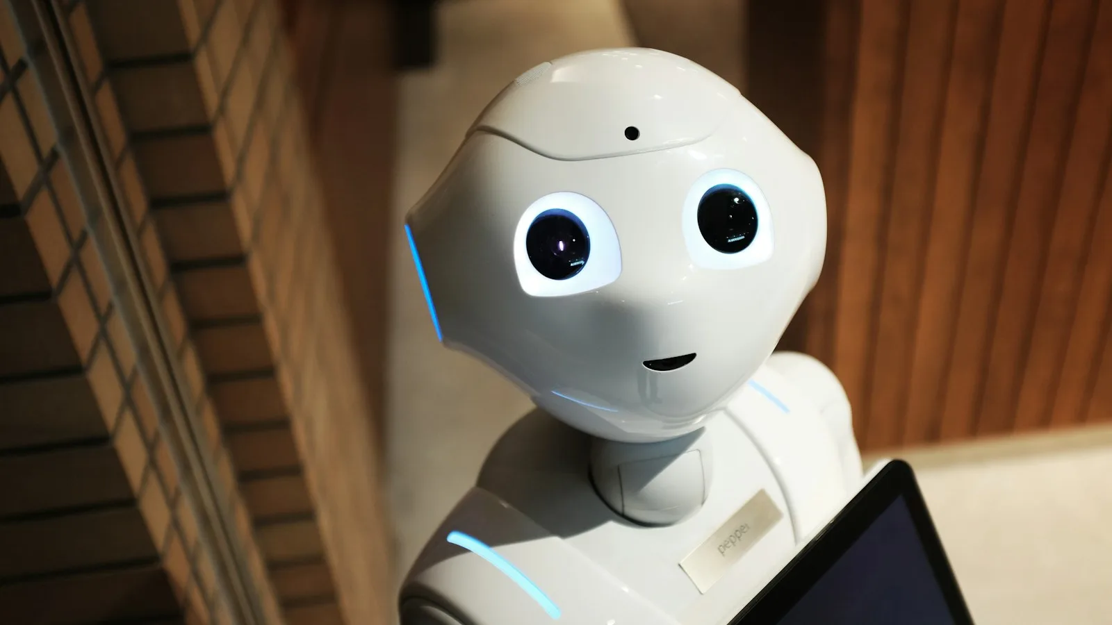 Students programming an educational robot in a technology lab